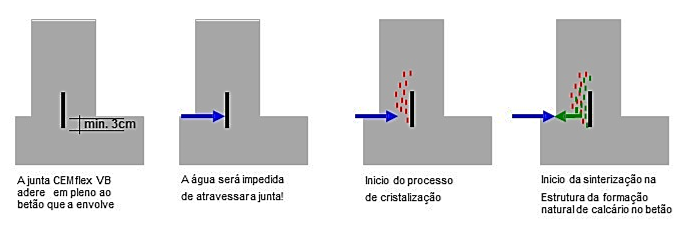 imagem2